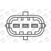 BorgWarner (BERU) | Zündspule | ZS337 BorgWarner (BERU) | Zündspule | ZS337