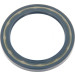 Corteco | Dichtring | 12001709B