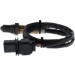 BOSCH | Lambdasonde | 0 281 004 496