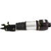 Arnott | Luftfederbein | AS-2785