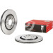Brembo | Bremsscheibe | 09.5570.10