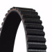 ContiTech | Zahnriemen | CT955 ContiTech | Zahnriemen | CT955