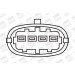 BorgWarner (BERU) | Zündspule | ZSE019 BorgWarner (BERU) | Zündspule | ZSE019