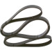 1 987 947 824 Keilrippenriemen