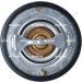 NRF | Thermostat, Kühlmittel | 725248