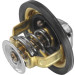 Wahler | Thermostat, Kühlmittel | 4174.82D