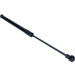 Maxgear | Gasfeder, Heckscheibe | 12-0331 Maxgear | Gasfeder, Heckscheibe | 12-0331