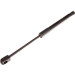 Maxgear | Gasfeder, Koffer-/Laderaum | 12-0186 Maxgear | Gasfeder, Koffer-/Laderaum | 12-0186