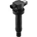 BorgWarner (BERU) | Zündspule | ZS474