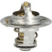 NRF | Thermostat, Kühlmittel | 725125