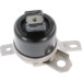 Corteco | Lagerung, Motor | 49389726 Corteco | Lagerung, Motor | 49389726