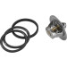 Wahler | Thermostat, Kühlmittel | 3136.88D50