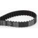 ContiTech | Zahnriemen | CT983 ContiTech | Zahnriemen | CT983
