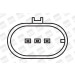 BorgWarner (BERU) | Zündspule | ZS321 BorgWarner (BERU) | Zündspule | ZS321