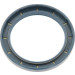 Corteco | Dichtring | 12001709B