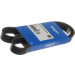 SKF | Keilrippenriemen | VKMV 6PK1020 R SKF | Keilrippenriemen | VKMV 6PK1020 R