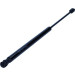 Maxgear | Gasfeder, Heckscheibe | 12-0090 Maxgear | Gasfeder, Heckscheibe | 12-0090