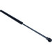 Maxgear | Gasfeder, Koffer-/Laderaum | 12-0183 Maxgear | Gasfeder, Koffer-/Laderaum | 12-0183