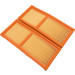 MANN-FILTER C 2861-2 Luftfilter