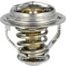 725140 Thermostat, Kühlmittel EASY FIT