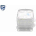 V25-60-0025 Ölkühler, Motoröl EXPERT KITS + V25-60-0025 Ölkühler, Motoröl EXPERT KITS +