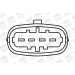 BorgWarner (BERU) | Zündspule | ZSE055 BorgWarner (BERU) | Zündspule | ZSE055