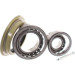 SKF | Radlagersatz | VKBA 1465 SKF | Radlagersatz | VKBA 1465