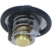 725146 Thermostat, Kühlmittel EASY FIT