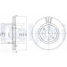Delphi | Bremsscheibe | BG2872