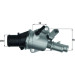 TI 156 88 Thermostat, Kühlmittel BEHR