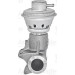 Valeo | AGR-Ventil | 700406 Valeo | AGR-Ventil | 700406