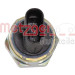 Metzger | Sensor, Öldruck | 0906489