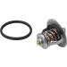 Wahler | Thermostat, Kühlmittel | 410178.82D