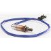 BOSCH | Lambdasonde | 0 258 003 300