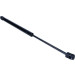 Maxgear | Gasfeder, Koffer-/Laderaum | 12-0114