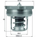 Mahle | Thermostat, Kühlmittel | TX 89 83