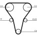 ContiTech | Zahnriemen | CT1069 ContiTech | Zahnriemen | CT1069