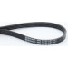 ContiTech | Keilrippenriemen | 4PK711 ELAST