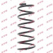 RG1262 Fahrwerksfeder K-Flex