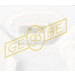 GEBE | Kraftstoff-Fördereinheit | 9 6024 1 GEBE | Kraftstoff-Fördereinheit | 9 6024 1