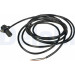 Delphi | Sensor, Raddrehzahl | SS20283 Delphi | Sensor, Raddrehzahl | SS20283