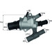 TI 168 88 Thermostat, Kühlmittel BEHR