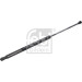 FEBI BILSTEIN 185497 Gasfeder, Koffer-/Laderaum
