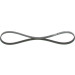1 987 946 118 Keilrippenriemen Elastic