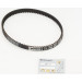 ContiTech | Zahnriemen | CT1169