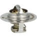 725128 Thermostat, Kühlmittel
