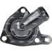 725249 Thermostat, Kühlmittel EASY FIT
