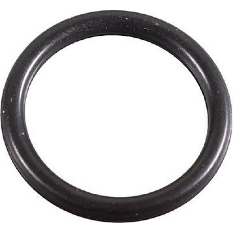 Dichtring 2430125 Dichtring 2430125