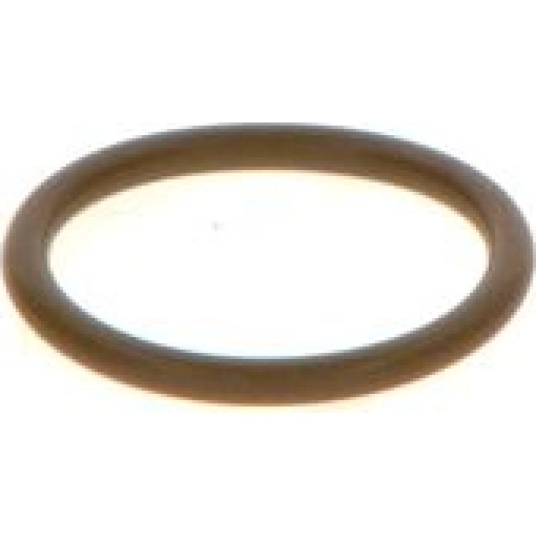 Dichtring F 00V C38 044