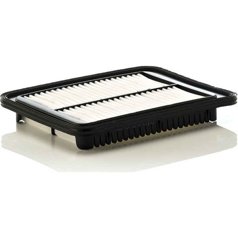 MANN-FILTER C 24 010 Luftfilter